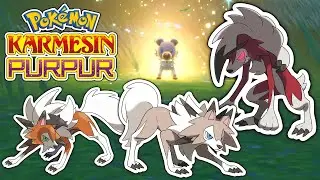 Wuffels + ALLE Wolwerock FORMEN Fundort + Entwicklung | Pokemon Karmesin und Purpur