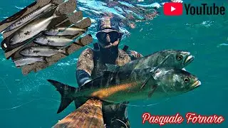 Pesca Sub: tra serra e barracuda nel sottocosta