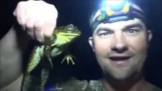 Frogging Barehanded