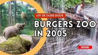 Uit de oude doos: Burgers Zoo in 2005