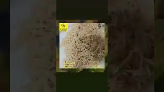 export quality rice/ basmati rice in very low price