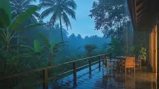Sleep Now with Gentle Rainforest Rain at Wood Cabin and Low Storm Rumble to Ease Anxiety 🌧️