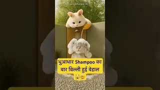 जब भाई-बहन साथ हों! 😂🐱 cat funny video #shortsfeed #animation #catvideos