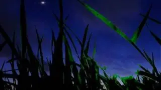 Out in Space { The Boy With No Name } by Travis