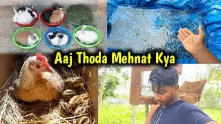 Mehnat Ka Phal Meetha Hota Hai 🥰 | Pets Vlog