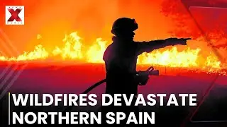 Wildfires in Northern Spain Force Elderly Evacuations, Claiming Lives | NewsX World