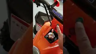 2017 TaoTao 150 g $1,295
