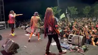 CoconutTrees X Opayyo .. Trully Kawan