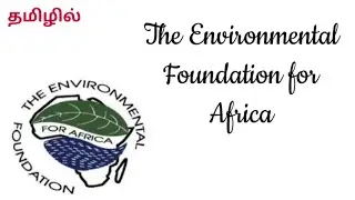 The Environmental Foundation for Africa (EFA) in Tamil ✨Environmental Education Unit 4 B.Ed Syllabus