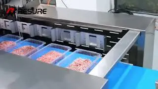 RSC-70VSV Automatic Tray MAP & Skin Packaging Machine