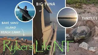 Bynoe Harbour Wide NT Stalked by Croc, chased by Sharks, Big Tuna, Baby Turtles, Beach Camping
