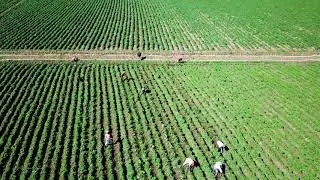 Rep&uacute;blica Dominicana comparte lo Bueno 4K Official Video_HD