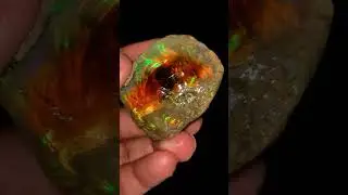 Multi Fire Opal rough #opal #crystals #gemstone #trending #viral #shorts #instagram #google