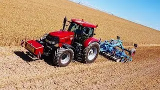semis de luzerne 2022 lemken Rubin 9 au déchaumage //\\ case puma 185
