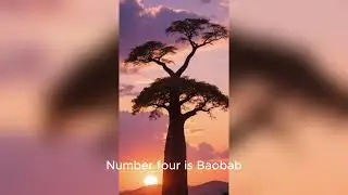 5 herbs to save your life ( African Medicine)