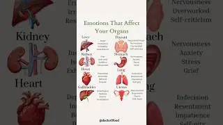 How Emotions Secretly Impact Your Organs | Mind-Body Connection Explained