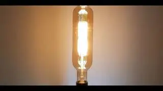 Edison Light Bulb