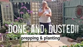 From Tidy Ups to Strawberries | One Week of Autumn Garden Jobs