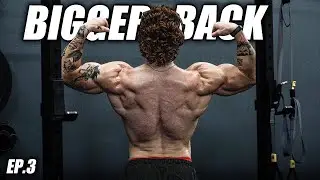5 TIPS TO GROW A BIGGER BACK
