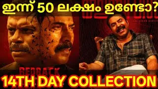 KalamKaval 14th Day Boxoffice Collection |KalamKaval Kerala Collection #Mammootty #KalamKavalNews