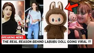 Real Mystery Behind Labubu Doll Going Viral