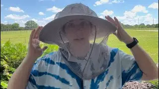 Benvo 2 pack mosquito mesh keeps the bugs out of your face