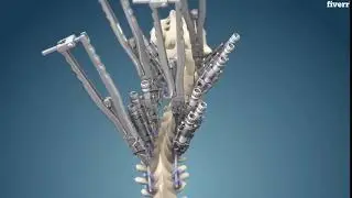 I will do accurate 3d medical explainer animation - 3D Product Animation Services