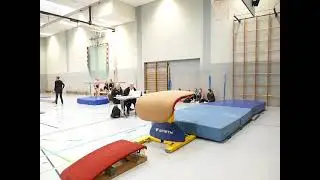 Emily mit einem Handst&uuml;tz&uuml;berschlag am Sprungtisch