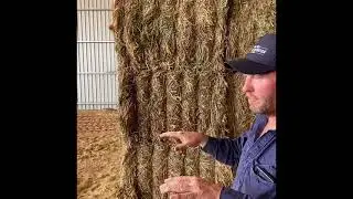How to stack hay in the shed