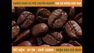 Coffee Tree Roaster - Farm To Cup || Coffee Tree Official