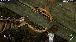 Dead by Daylight RANK 1 TRAPPER! - SO MANY BEAUTIFUL TRAPS!