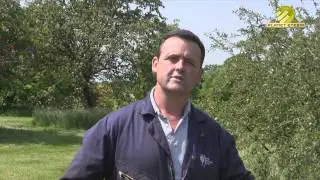 Pellenc Helion hedgecutter and Airion blower - RHS Wisley testimonial