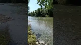 #река#природа#river#nature#r&iacute;o#naturaleza#नदी#प्रकृति#নদী#প্রকৃতি#rio#natureza#rivi&egrave;re#河流#自然#alam＃花朵