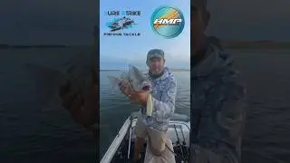 Охота на пятнистого ворчуна на поверхностные приманки &mdash; вечерняя сессия, река Гамтус.