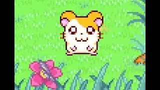 Destress and Chill With Hamtaro | 1 Hour of Relaxing Video Game Music