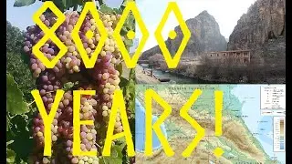 Grapes History and Seasonal Availability