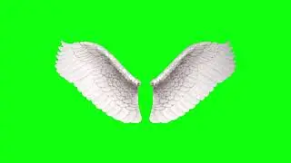 [4K] Angel Wings Green Screen