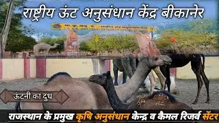 राष्ट्रीय ऊंट अनुसंधान केंद्र, बीकानेर | National Research Centre on Camel, Bikaner ..?