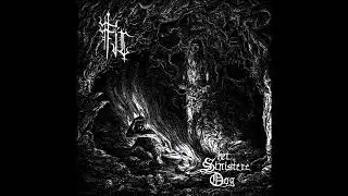 F&Iacute;R - Poort achter het ontaarde woud (taken from the Album 