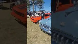 Cruise on the  Parade  Napier New Zealand