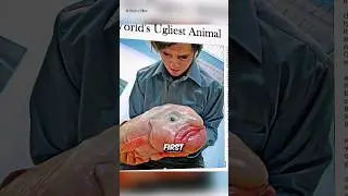 Животные, которых вы никогда не видели 😱 #шорты