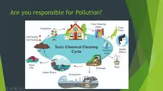 Impact of Toxic chemicals on Health and Environment