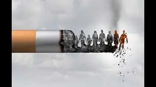 Shocking fact about cigarettes || Smoking facts.