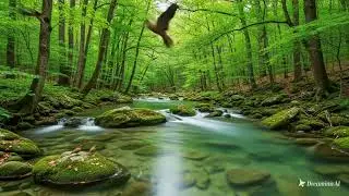 Beautiful nature, flowing water, and beautiful music, very interesting