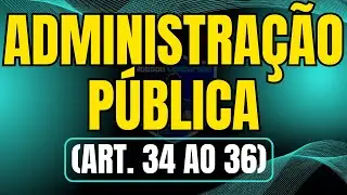 DA ADMINISTRA&Ccedil;&Atilde;O P&Uacute;BLICA (art. 37 ao 43) - CAP&Iacute;TULO VII DA ORGANIZA&Ccedil;&Atilde;O DO ESTADO