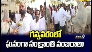 గన్నవరంలో ఘనంగా సంక్రాంతి సంబరాలు | Sankranthi Celebrations in Gannavaram | Prime9 News