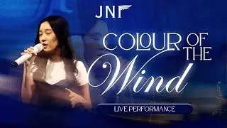 Vanessa Williams - Colors Of The Wind | Live Cover by JNF Entertainment