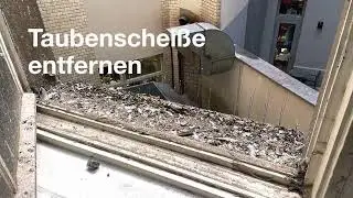 Taubenkot entfernen