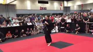 Adriana Noonen 2016 ATA World Championship Creative form