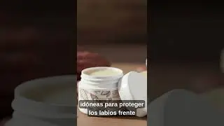 Mantecas de cacao y karite en pomadas labiales